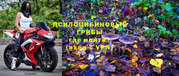 соль ск Костерёво