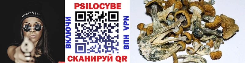 МЕГА ссылки  цены   Березники  Галлюциногенные грибы GOLDEN TEACHER 
