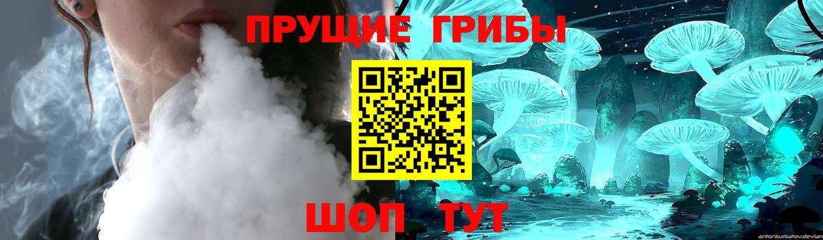 Галлюциногенные грибы GOLDEN TEACHER  Псилоцибиновые грибы Psilocybine cubensis  Березники 